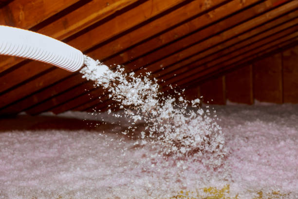 Best Residential Insulation in Eagle Lake, FL