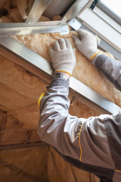 Best Cellulose Insulation in Eagle Lake, FL