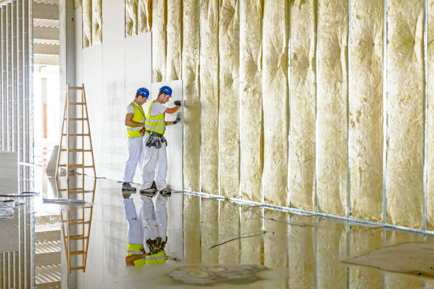 Types of Insulation We Offer in Eagle Lake, FL